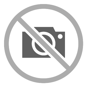 Auto Windscreen for Nissan 